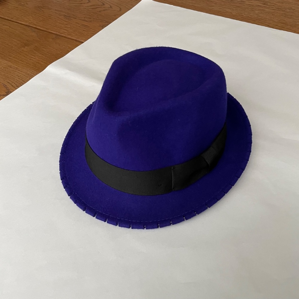 NWOT Classic Wool Hat - Fedora